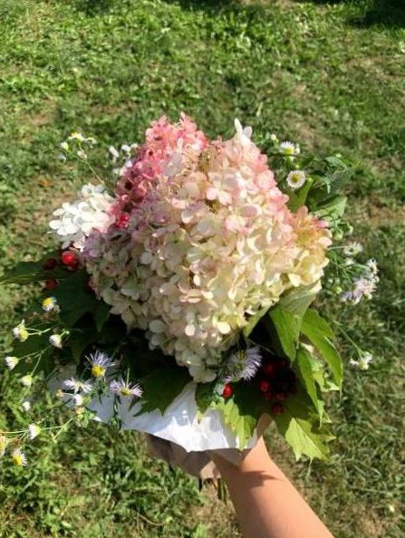 Optionharbor flowers