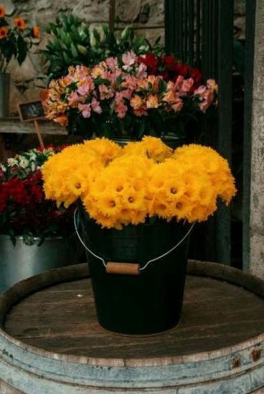 Flower decoration for the coffin